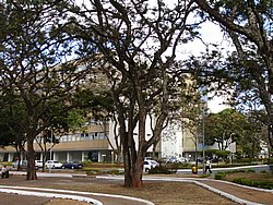 green area
